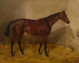 Emil Adam, Racehorse in a stable, 1887, oil on canvas