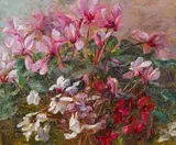 Olga Wisinger-Florian, Cyclamen