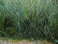 Andrea Kasamas, Nature, 1989, oil on canvas