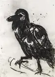 Markus Lüpertz, Crow, mixed media on paper