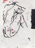 Hannes Mlenek, Physical Dynamics Disposition