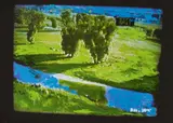 Naturale Televisivo by Mario Schifano, 1990/97, acrylic on canvas, computer-edited, offered Oct 2014