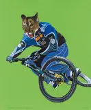 Deborah Sengl, The mountainbiker