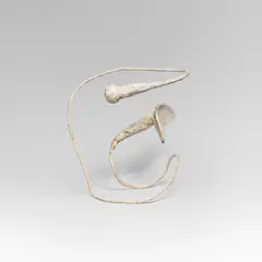 Franz West, Passstück