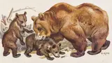 Mother bear with children by Norbertine Bresslern-Roth, watercolour on paper, sold Jun 2014