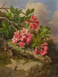 Josef Lauer, Alpine rose, oil on cardboard