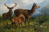 Franz Xaver von Pausinger, Deer with hind and calf