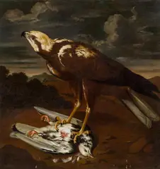 Philipp Ferdinand de Hamilton, Falcon, oil on canvas