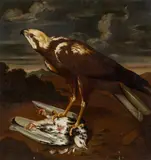 Philipp Ferdinand de Hamilton, Falcon, oil on canvas