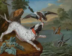 Philipp Ferdinand de Hamilton, A dog hunting wild ducks, c. 1730, oil on canvas