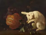 Franz Werner Tamm, Still life with fruits and a white rabbit, oil on canvas