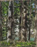 Christian Rohlfs, Forest area