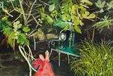 Moni K. Huber, Garten nachts II., 2013, oil and paper on canvas laminated