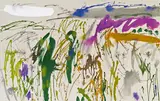 Peter Marquant, Paisaje
