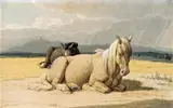 Wilhelm von Kobell, Two resting horses