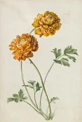 Leopold Brunner, Mixed lot: 3 pieces, watercolour on paper