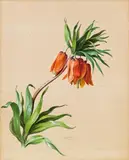 Leopold Fischer, Mixed lot: 3 pieces, watercolour on paper