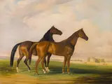 Henri Delattre, Two horses, 1849, oil on canvas