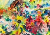 Wilhelm Nicolaus Prachensky, Flowers