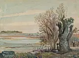 Oskar Laske, Willow