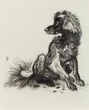 Ludwig Heinrich Jungnickel, Dog