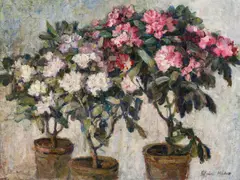 Claire Huber, Blooming azaleas, oil on canvas