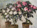Claire Huber, Blooming azaleas, oil on canvas