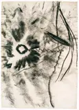 Herbert Brandl, Untitled