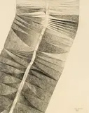 Flight Rhythm by Erika Giovanna Klien, 1944, black crayon on paper, offered Nov 2013