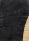Arnulf Rainer, Säulenkopf, 1954, mixed media on double folded transparent paper