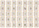 Martin Kippenberger, Die Welt des Kanarienvogels" - 35 sheets, 15 sheets of original drawings on slip paper, 20 sheets of original drawings on handmade paper