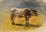 Friedrich Gauermann, A Bull