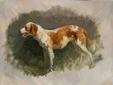Friedrich Gauermann, A dog