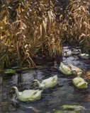 Alexander Koester, Eight ducks in the reed