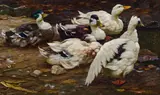 Resting ducks by Alexander Koester, c. 1908, oil on canvas, offered Nov 2013