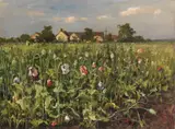 Julius von Klever, Blühender Mohn, 1905, Oil on canvas