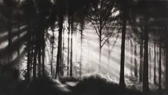 Robert Longo, Ohne Titel (In the Garden, et in arcadia ego), 2009, Charcoal drawing
