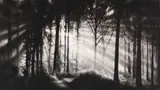Robert Longo, Ohne Titel (In the Garden, et in arcadia ego), 2009, Charcoal drawing