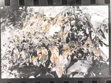 Sigmar Polke, Belladonna, 1975, Black and white photograph, processed