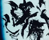 Hans Hartung, T 1982 - U 11