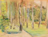 Max Liebermann, Die Birkenallee in Wannsee nach Nordwesten, Um 1920, Pastel