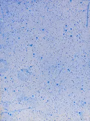 Yves Klein, Cosmogonie (COS 16), 1960, Mixed media, pigment on paper, laid on canvs, i...