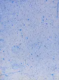 Yves Klein, Cosmogonie (COS 16), 1960, Mixed media, pigment on paper, laid on canvs, i...