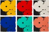 Donald Sultan, Poppies