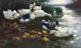 Alexander Koester, Enten mit Küken im Wasser, Um 1905-1910, Oil on canvas
