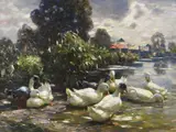 Alexander Koester, Acht Enten am Wasser, Um 1915-1920, Oil on canvas