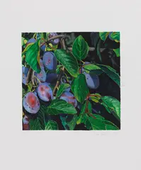 Karin Kneffel, Ohne Titel (Pflaumen), 1994, Watercolor