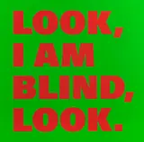 Rémy Zaugg, About Blindness Nr. 23, 1998/99, Sprayed Acryliclacquer, clear paint and silkscr...