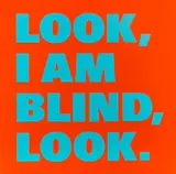 About Blindness Nr. 18 by Rémy Zaugg, 1998/99, Gespritzter Acryliclacquer, clear paint and sil..., sold Jun 2019