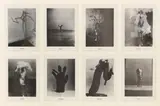 Palmenserie by Sigmar Polke, 1966/1968, Offset, sold Jun 2019